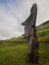 Detaill of a moai buried in Rano Raraku volcano, Easter island Royalty Free Stock Photo