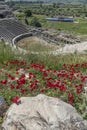 details of ancient settlement milet amphitheater