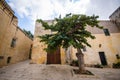 Details Ancient Streets Alleys Mdina Old Architecture Travel Location Limestone Walls