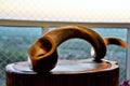 Details of an antelope horn shofar