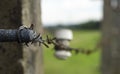 Auschwitz Barbed wire Royalty Free Stock Photo