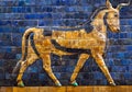 Details of the Babylonian Ishtar Tor Royalty Free Stock Photo