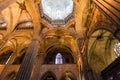 Details of the Barcelona Cathedral interior - ceiling and dome, Catalonia Royalty Free Stock Photo