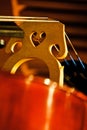 Details of a Bass Bridge and Strings