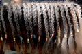 Neck close up of a young domestic horse with a braided mane Royalty Free Stock Photo