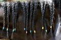 Neck close up of a young domestic horse with a braided mane Royalty Free Stock Photo