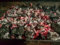 Details of charcoal for barbecue at picnic Royalty Free Stock Photo