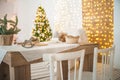 Details of the decorated New Year`s interior. Scandinavian living room and kitchen for Christmas. The comfort of homely rustic dec Royalty Free Stock Photo