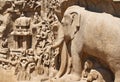 Details of Descent of the Ganges in Mahabalipuram, India