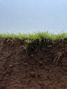 Details of earth or ground underneath soil. Royalty Free Stock Photo