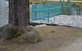 Details of the edge of the pond with paved banks flat stones. curved shape. the path is lined with weeping willows and the sluice Royalty Free Stock Photo