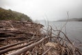 Shoreline of Lake Burbury Tasmania Royalty Free Stock Photo