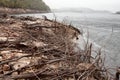 Shoreline of Lake Burbury Tasmania Royalty Free Stock Photo