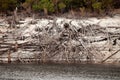 Shoreline of Lake Burbury Tasmania Royalty Free Stock Photo