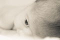 Details of first hair of cute newborn lying down Royalty Free Stock Photo