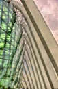 Details of the Flower Dome in Singapore Royalty Free Stock Photo