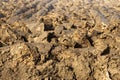 Details of a fresh plowed soil , frame filled