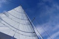 Details of a full batten main sail Royalty Free Stock Photo