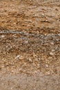 Details of the geological formation of layers on the seashore. The layer consists of shells and sand Royalty Free Stock Photo