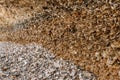 Details of the geological formation of layers on the seashore. The layer consists of shells and sand Royalty Free Stock Photo