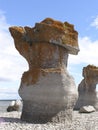 details of granitic islets and reefs 1 Royalty Free Stock Photo