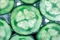 Details of green sliced cucumbers on a glowing background, close up Royalty Free Stock Photo