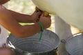 Details with the hands of a young girl milking a fake cow in educational purposes Royalty Free Stock Photo