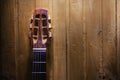 Head of Gypsy Jazz Acoustic Guitar