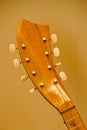Details of headstock of mandolin Royalty Free Stock Photo