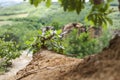 Details from hilltop near a wonderful place of Dragons Garden, T Royalty Free Stock Photo