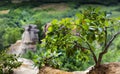 Details from hilltop near a wonderful place of Dragons Garden, T Royalty Free Stock Photo