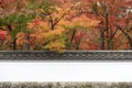Details of historical Japanese building in Kyoto in autumn season Royalty Free Stock Photo