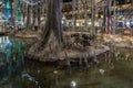 Details inside the Bass Pro Shop pyramid Memphis Tennessee