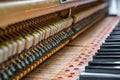 Details inside of the piano with keyboards and piano-string Royalty Free Stock Photo