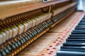 Details inside of the piano with keyboards and piano-string Royalty Free Stock Photo