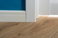 Details in the interior. Laminated parquet floors immitating oak texture, white baseboard, white door. Royalty Free Stock Photo