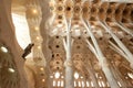 Details of the interior, unique columns, order, arch sklptura of thte Sagra de Familia Cathedral jf Antonio Gaudi Royalty Free Stock Photo