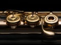 Details of a golden flute black background Royalty Free Stock Photo