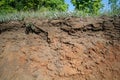 Details of layers of soil under ground surface