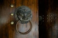 Details of lion-shaped door knocker Royalty Free Stock Photo