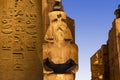 Details of Luxor Temple - Archeology and History - Luxor