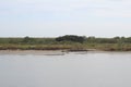 Louisiana Marsh Wetlands Royalty Free Stock Photo