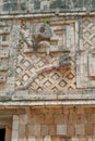Details of a Mayan decoration, symbolizing a snake