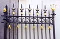 Details of metal gold decorated gate fragment.