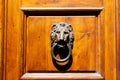 Details of a metal Lion`s head door knocker Royalty Free Stock Photo