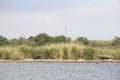 Calcasieu River Channel