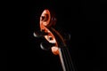 Details of an old and beautiful violin on a rustic wooden surface and black background, low key portrait, selective focus Royalty Free Stock Photo
