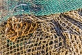 Details of an old fishing net fishing net in the port. Royalty Free Stock Photo