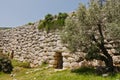 Details of old roman aquaduct wall with olive tree in front, near ancient Lycian city of Patara