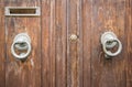 Details of an old wooden door.